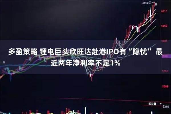 多盈策略 锂电巨头欣旺达赴港IPO有“隐忧” 最近两年净利率不足1%