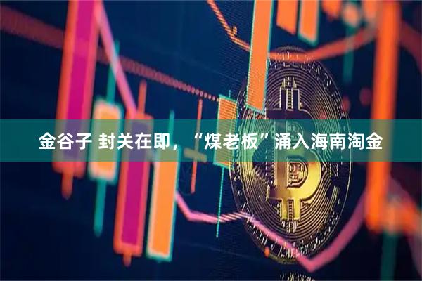 金谷子 封关在即，“煤老板”涌入海南淘金
