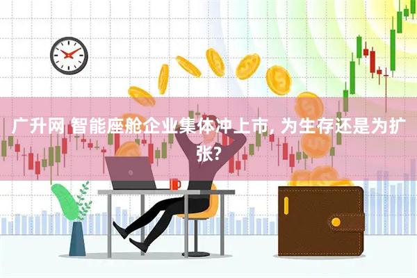 广升网 智能座舱企业集体冲上市, 为生存还是为扩张?