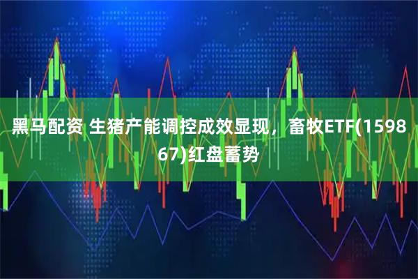 黑马配资 生猪产能调控成效显现，畜牧ETF(159867)红盘蓄势