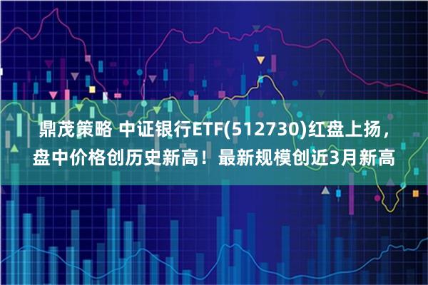 鼎茂策略 中证银行ETF(512730)红盘上扬，盘中价格创历史新高！最新规模创近3月新高