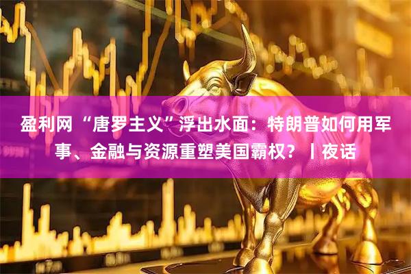盈利网 “唐罗主义”浮出水面：特朗普如何用军事、金融与资源重塑美国霸权？丨夜话