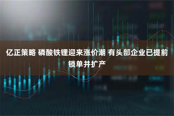 亿正策略 磷酸铁锂迎来涨价潮 有头部企业已提前锁单并扩产