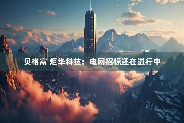 贝格富 炬华科技：电网招标还在进行中